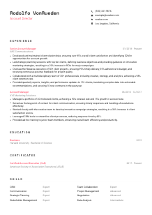 Account Director Resume Template #1