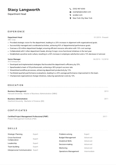 Department Head CV Example