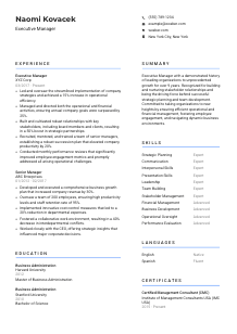 Executive Manager CV Template #2