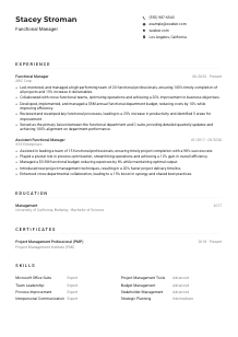 Functional Manager Resume Example