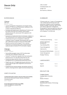 IT Director Resume Template #1