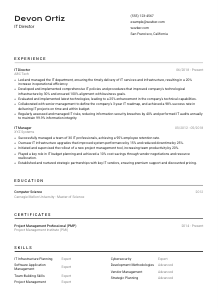 IT Director CV Template #2