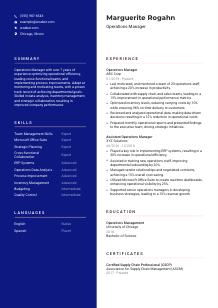 Operations Manager CV Template #3