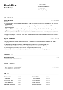 Team Manager CV Example