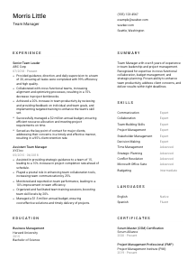 Team Manager Resume Template #1