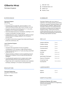 Petroleum Engineer CV Template #10