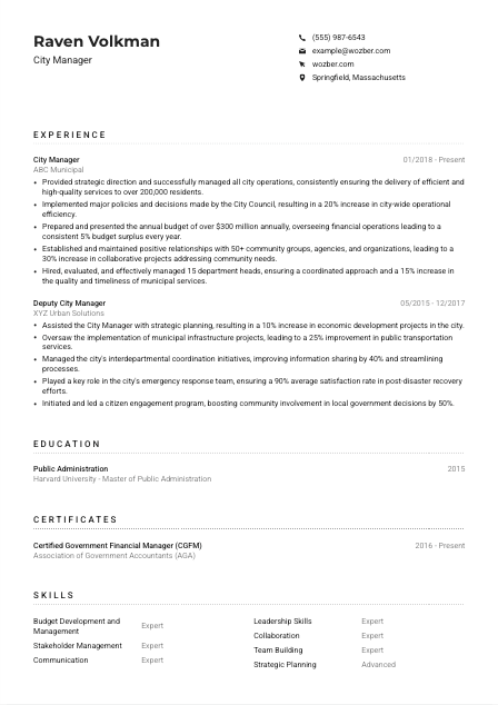 City Manager Resume Example
