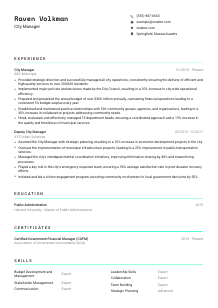 City Manager CV Template #3