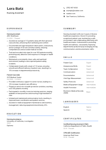 Nursing Assistant CV Template #2