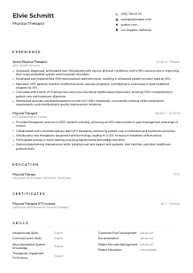 Physical Therapist CV Example