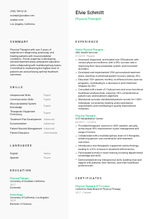 Physical Therapist CV Template #2