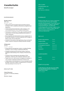Benefits Analyst CV Template #2