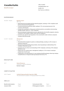 Benefits Analyst CV Template #1