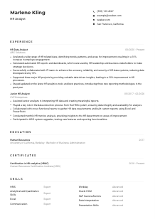 HR Analyst CV Example
