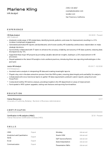 HR Analyst CV Template #2