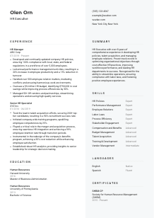 HR Executive CV Template #2