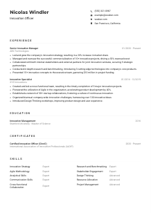 Innovation Officer CV Example