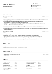 Enterprise Architect Resume Example