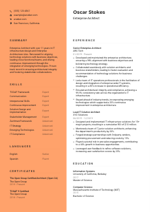 Enterprise Architect CV Template #3