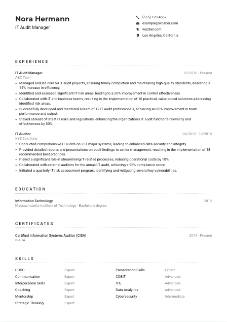 IT Audit Manager CV Example