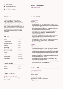 IT Audit Manager CV Template #3