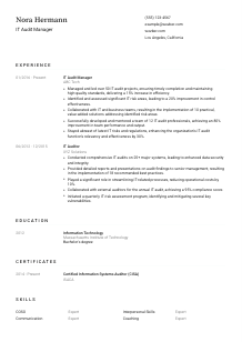 IT Audit Manager CV Template #1