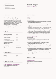 IT Delivery Manager CV Template #20