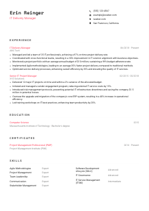 IT Delivery Manager CV Template #4