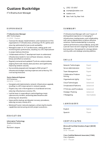IT Infrastructure Manager CV Template #2
