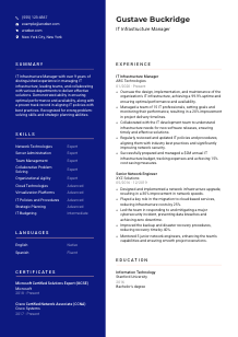 IT Infrastructure Manager CV Template #3