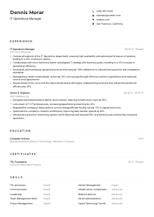 IT Operations Manager CV Example