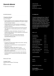 IT Operations Manager CV Template #3
