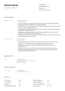 IT Operations Manager CV Template #1