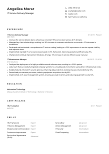 IT Service Delivery Manager Resume Example