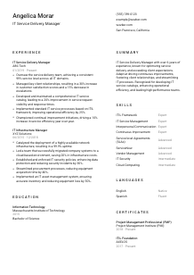 IT Service Delivery Manager CV Template #2