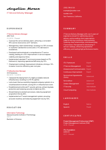 IT Service Delivery Manager Resume Template #22