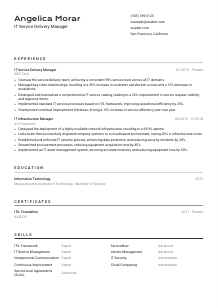 IT Service Delivery Manager Resume Template #9