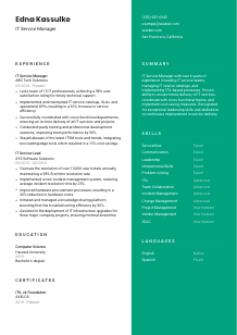 IT Service Manager CV Template #16