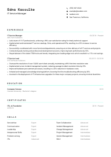 IT Service Manager CV Template #18