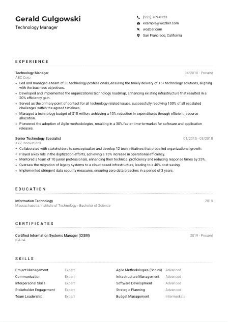 Technology Manager Resume Example