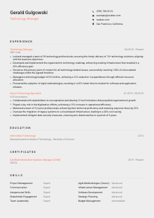 Technology Manager Resume Template #23