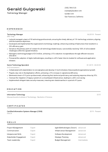 Technology Manager Resume Template #9