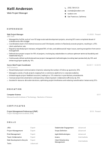 Web Project Manager Resume Example