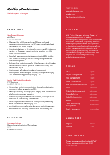 Web Project Manager Resume Template #22