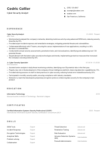 Cyber Security Analyst CV Example