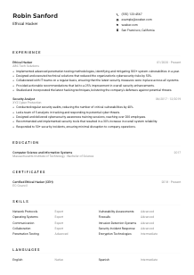 Ethical Hacker CV Example