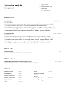 Security Analyst CV Example