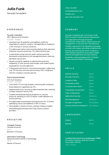Security Consultant Resume Template #16