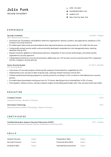 Security Consultant Resume Template #18