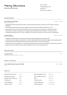 Network Administrator CV Template #9